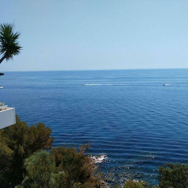 Casa Delle Mimose Appartement Varazze Buitenkant foto