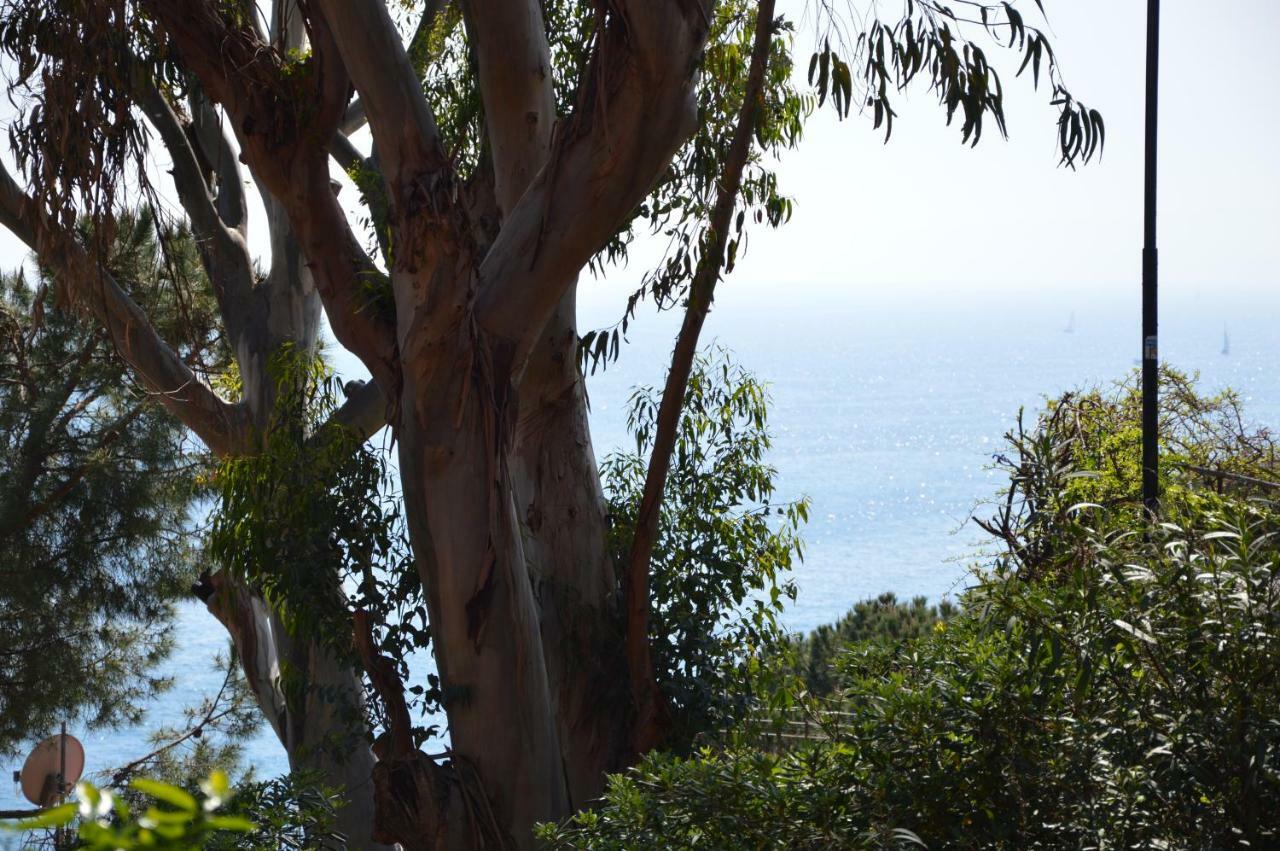 Casa Delle Mimose Appartement Varazze Buitenkant foto
