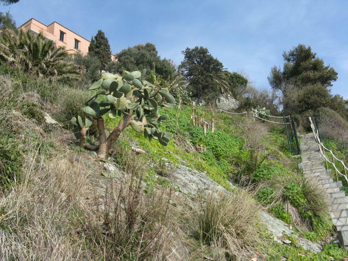 Casa Delle Mimose Appartement Varazze Buitenkant foto